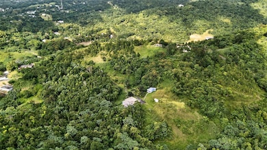 Carr. 186 INT 9948 K Sector Marines Cubuy, Canovanas, PR 00729 - photo 3