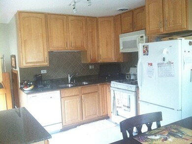 4434 25th Ave, Schiller Park, IL 60176 - photo 6