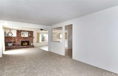Brand New Carpet