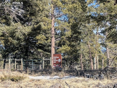 56 Rampart Cir, Florissant, CO 80816 - photo 3