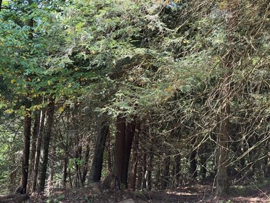 0 Alma Hill Rd unit LotWP001 24749380, Alma, NY 14895 - photo 7