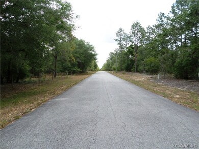 00 SW 80 Place Rd, Dunnellon, FL 34431 - photo 4