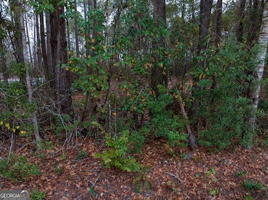 120 Womack Rd unit 1.4 ACRES, Jesup, GA 31545 - photo 6