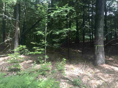 00 Ruppert Rd, Moultonborough, NH 03254 - photo 5