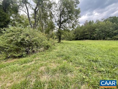 459 Afton Mountain Rd unit PARCEL D, Afton, VA 22920 - photo 6