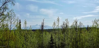 View from back deck
