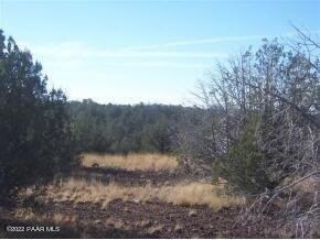 1340 W Joseph Dr, Ash Fork, AZ 86320 - photo 3