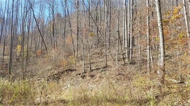 000 Fox Creek Rd, Burnsville, NC 28714 - photo 7