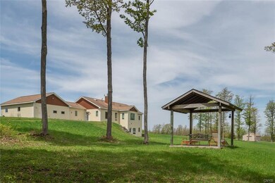 View of the back from the woods
