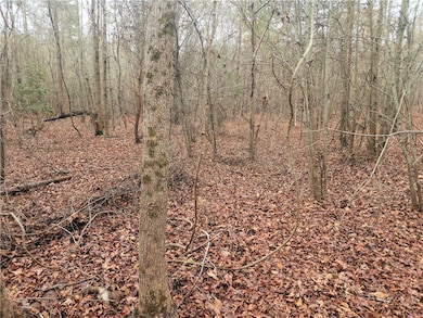 00 Scott Ln, Pelzer, SC 29669 - photo 3