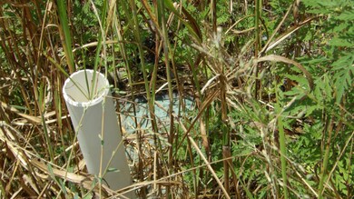 17 D Crappie Ln, Hilham, TN 38568 - photo 6