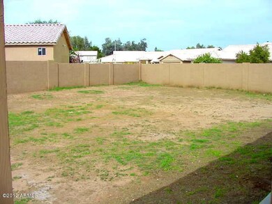 large back yard