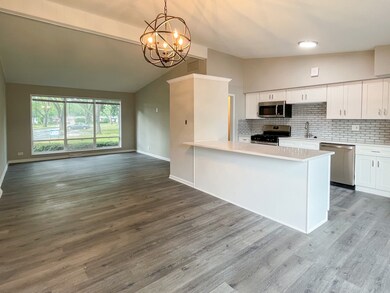 3917 Gull Ct, Rolling Meadows, IL 60008 - photo 2