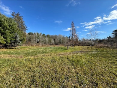 2336 State Route 228, Odessa, NY 14869 - photo 2