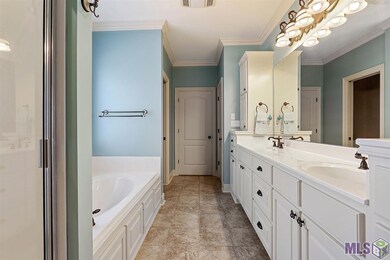 Master Suite Bathroom
