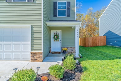 9445 River Cane Rd, Mascot, TN 37806 - photo 6