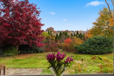 View from living room looking directly East. Backyard in foreground, Glastonbury Hills in background