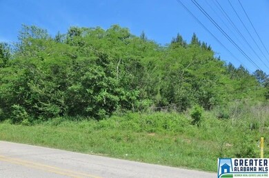 2.5 +/- Acres Highway 431 unit 5, Roanoke, AL 36274 - photo 3