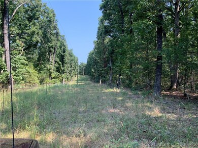 Power Line Easement