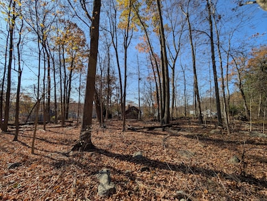 Another view looking towards the front of the lot.