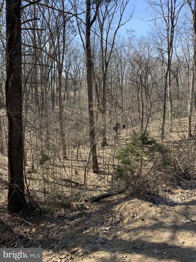 Lot 173 Oasis Ln, Valley, WV 25420 - photo 5