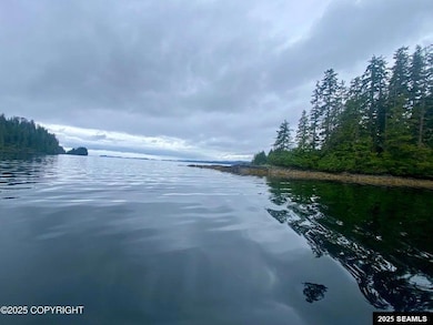 0 Legal Address Only unit Lot 4, Parcel E, US, Hollis, AK 99921 - photo 6