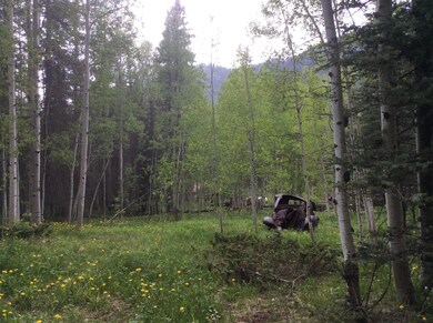 Potential Homesite