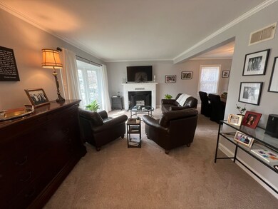 495 S Washington St, Elmhurst, IL 60126 - photo 4