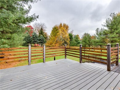 Expansive back deck that overlooks gorgeous back y