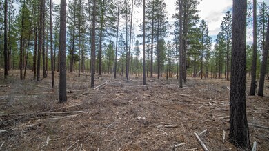 56319 Elk Run Dr, Bend, OR 97707 - photo 3