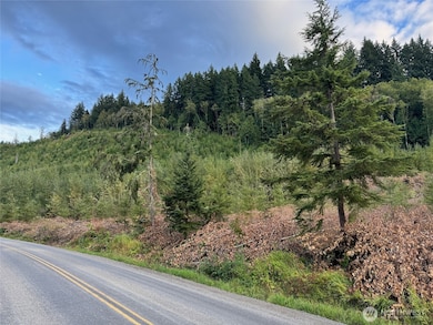 Lot 4 from Skinner Rd