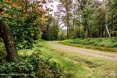 120 Route 203, Austerlitz, NY 12017 - photo 6