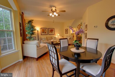 7340 Rocky Creek Dr unit 20, Columbia, MD 21046 - photo 4