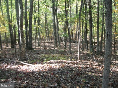 0 Seldom Seen & Bob unit WVMO117614, Great Cacapon, WV 25422 - photo 5