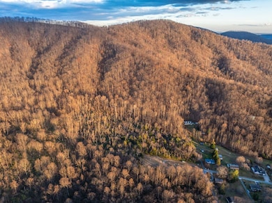 Tbd Ridge St unit LotWP001, Lovingston, VA 22949 - photo 7