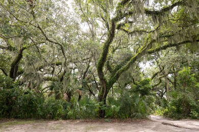 2423 High Hammock Rd, Seabrook Island, SC 29455 - photo 4