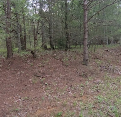 0 Palamino Way unit RTC2884048, Spencer, TN 38585 - photo 4