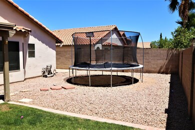 backyard 3
