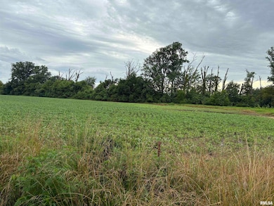 00 Randolph Dr, Centralia, IL 62801 - photo 3