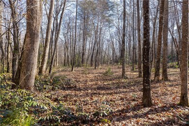 4637 Howe Rd, Greer, SC 29651 - photo 4