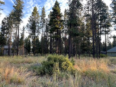 17216 Jacinto Rd, Bend, OR 97707 - photo 6