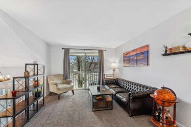 Main Living Space