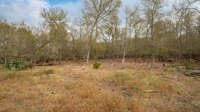 Tbd Cr 3158, McMahan, TX 78616 - photo 6