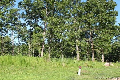 Left side looking toward the rear of the property.