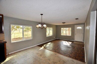 4345 Tin Top Rd, Weatherford, TX 76087 - photo 3