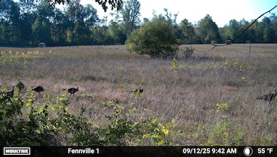 VL 45th Ave, Barryton, MI 49305 - photo 3