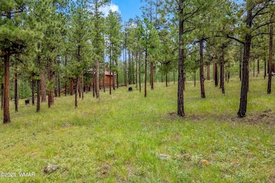 16 N1062, Greer, AZ 85927 - photo 2