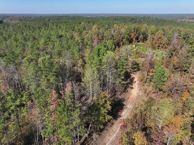 Hugh Gilreath Rd, Woodland, MS 39776 - photo 2