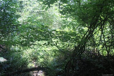 59 Wesley Dr, Leicester, NC 28748 - photo 5