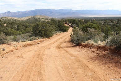 TBD E Mountain Springs Rd, Hackberry, AZ 86411 - photo 3